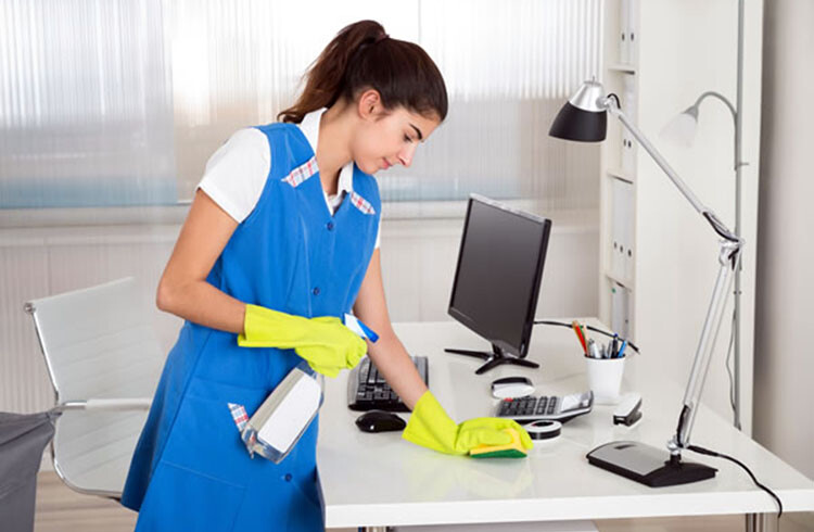 Bahçe Ofis Temizliği